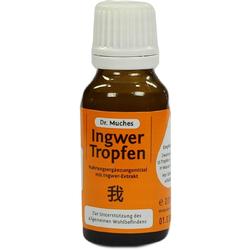 Braunes Fläschchen mit Ingwer-Tropfen zur Unterstützung des Wohlbefindens.